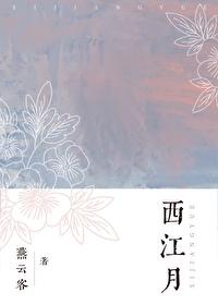 西江月封面