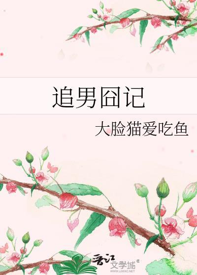追男囧记封面