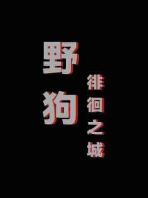 野狗徘徊之城封面