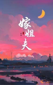 嫁姐夫封面