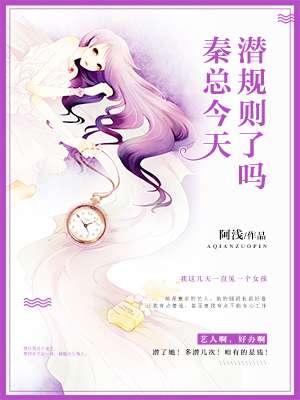秦总，今天潜规则了吗封面