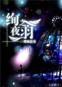 [魔法时刻]绚夜之羽封面