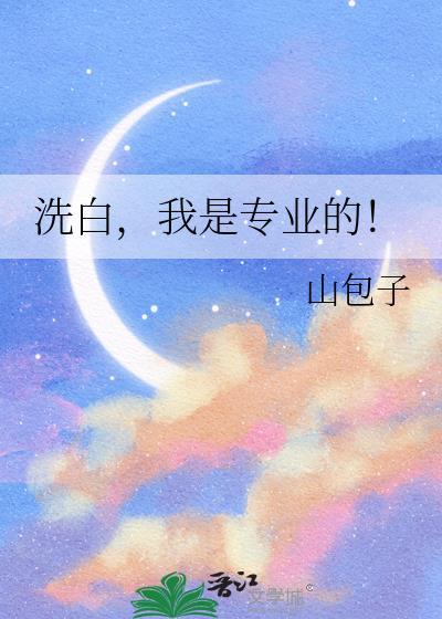 洗白，我是专业的！封面