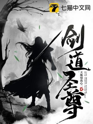 剑道圣尊天地知我心二封面