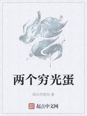 两个穷光蛋封面