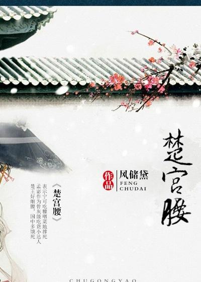 楚宫腰封面