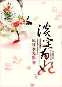 淡定为妃封面