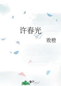 许春光封面