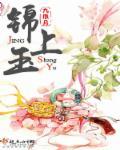 锦上玉封面