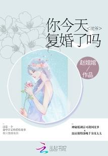 沈爷你今天复婚了吗封面