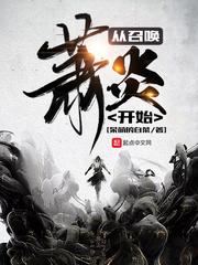 从召唤萧炎开始封面