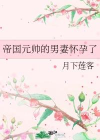 帝国元帅的男妻怀孕了封面