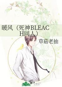 暖风（死神BLEACH同人）封面