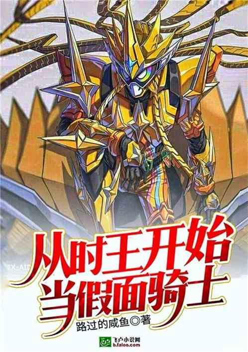 从时王开始当假面骑士封面