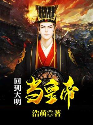 穿越大明朱棣封面
