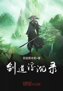 剑道浮沈录封面
