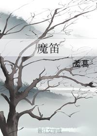 魔笛封面