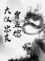 大汉忠良曹孟德封面