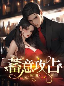 蓄意攻占封面
