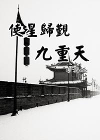 使星归觐九重天封面
