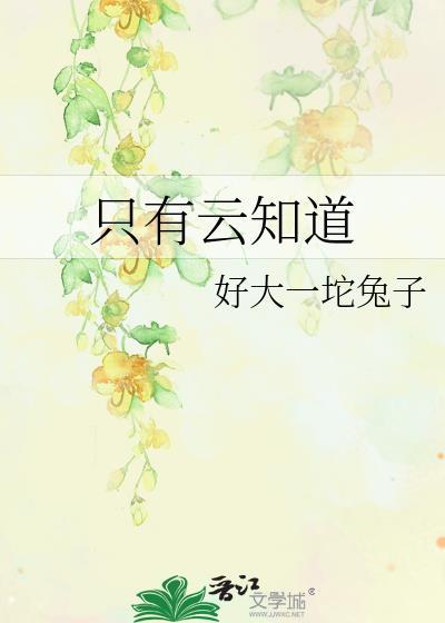 只有云知道封面
