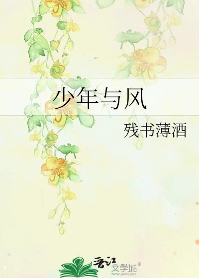 少年与风封面
