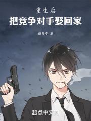 重生后把竞争对手娶回家封面