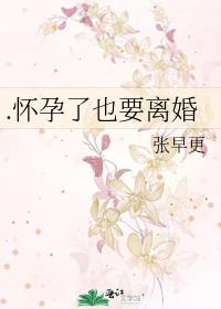 .怀孕了也要离婚封面