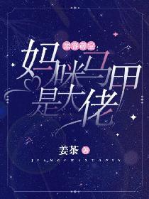 黑客萌宝：妈咪马甲是大佬封面