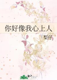 你好像我心上人封面