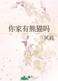 你家有熊猫吗封面