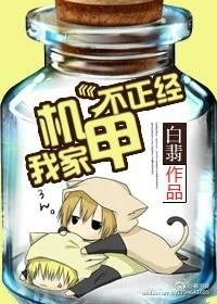 我家机甲不正经封面