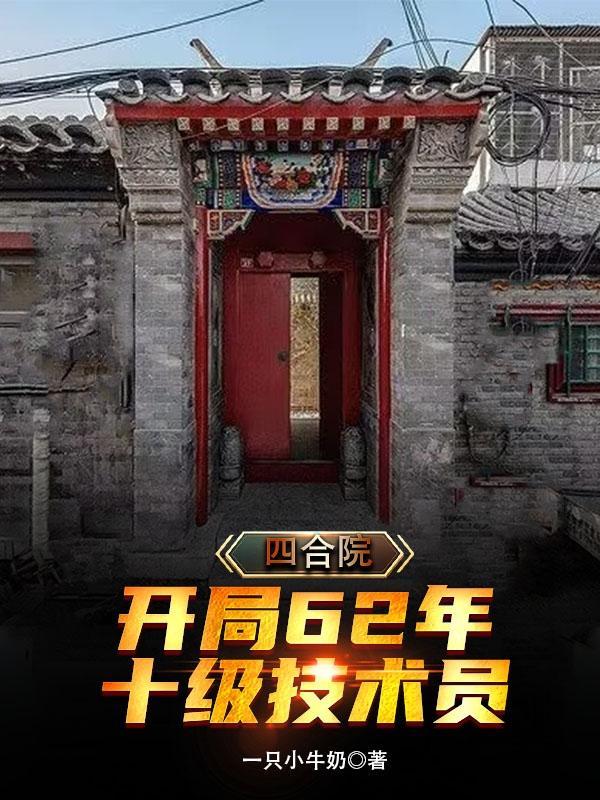 四合院：开局62年，十级技术员封面