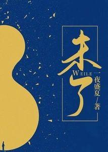 未了封面