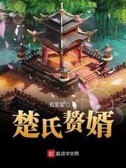 楚氏赘婿封面