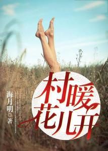 村暖花儿开石小军夏梦雪封面