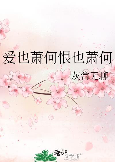 爱也萧何恨也萧何封面