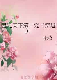 皇兄天下第一宠（穿越）封面