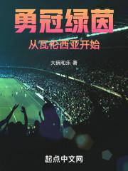 勇冠绿茵从瓦伦西亚开始封面