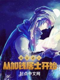 魂穿诸天从加钱居士开始封面