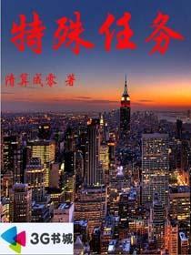 特殊任务封面
