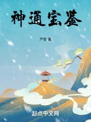 神通宝鉴封面