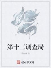 第十三调查局封面