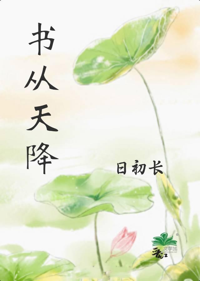书从天降封面