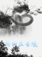 轮回在苦境封面