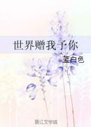 世界赠我予你封面