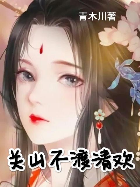 关山不渡清欢封面