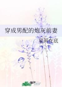 穿成男配的炮灰前妻 暮春之里小说TXT封面