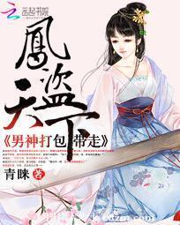 凤盗天下：男神打包带走封面