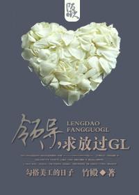 公司领导，求放过gl封面